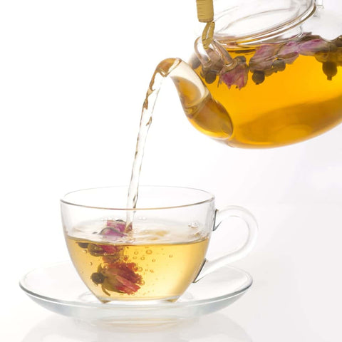 Glass Teapot-Retail-Eclipse Chocolate